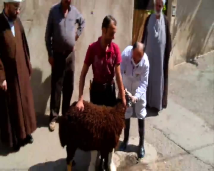 گوشت قربانی را ۲۴ ساعت بعد مصرف کنید
