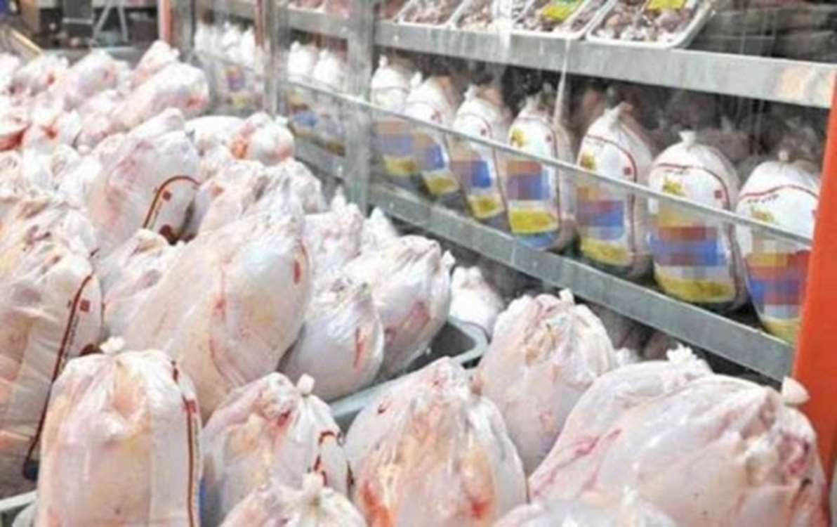 توزیع ۳۵۰ تن مرغ در خراسان جنوبی توزیع ۳۵۰ تن مرغ در خراسان جنوبی