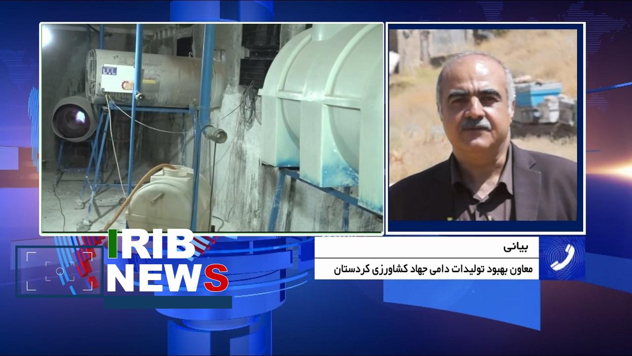 سرگردانی مرغداران کردستانی در پیچوخم تأمین نهادههای مرغداریها سرگردانی مرغداران کردستانی در پیچوخم تأمین نهادههای مرغداریها