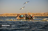 دریای مواج در خلیج فارس و تنگه هرمز، ۲۸ بهمن
