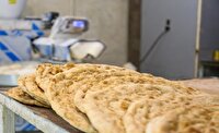 صدور ۱۹ مجوز نان کامل در استان بوشهر