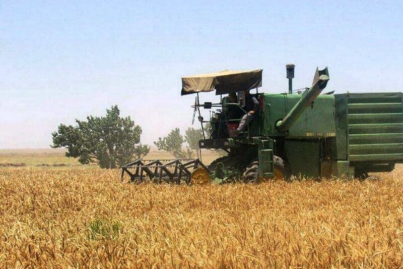 تجهیز ۱۴ مرکز خرید گندم در هرمزگان