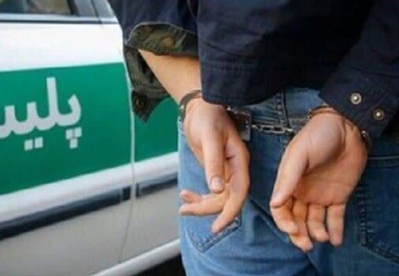دستگیری سارق گوشواره دختر بچه در کمتر از ۵ ساعت دستگیری سارق گوشواره دختر بچه در کمتر از ۵ ساعت