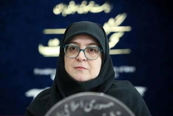 مهاجرانی: نخستین محموله ۱۰۰ هزار تنی محصولات کشت فراسرزمینی وارد کشور شد مهاجرانی: نخستین محموله ۱۰۰ هزار تنی محصولات کشت فراسرزمینی وارد کشور شد