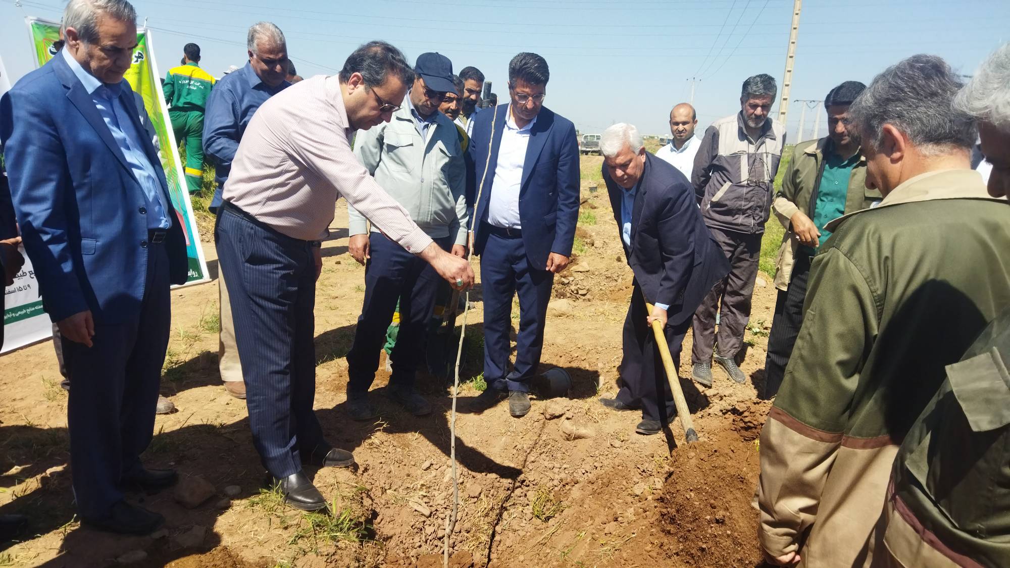 نهضت درختکاری در نیشابور ادامه دارد نهضت درختکاری در نیشابور ادامه دارد