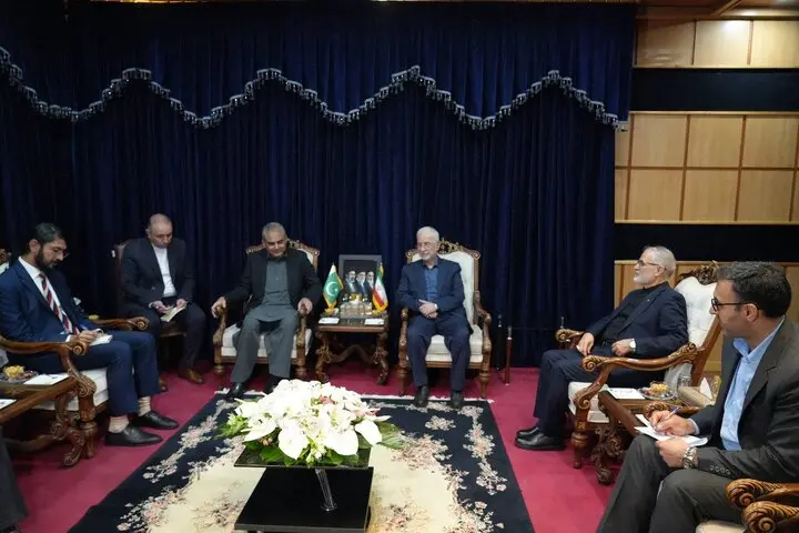 همکاری دو جانبه، محور گفتگوی وزیران کشور ایران و پاکستان
