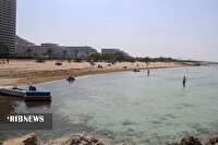 دریای عمان و شرق تنگه هرمز با وزش باد‌های جنوب شرقی کمی مواج
