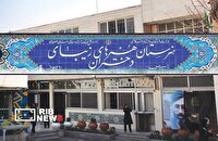 تحصیل بیش از ۹هزار هنرجو در هنرستان هنر‌های زیبا