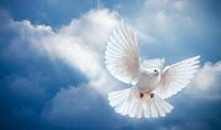 تشییع پدر شهید علی درویشی درروستای دالورا چهارمحال و بختیاری