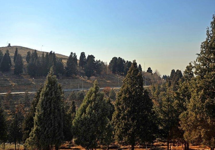 بوستان جنگلی سرخه حصار آبرسانی شد