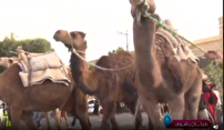 کاروان کربلا در سبزوار