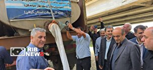 آغاز رهاسازی بیش از ۴۰۰ میلیون قطعه بچه ماهی در آب‌های کشور/ سهم گیلان ۱۰۰ میلیون قطعه