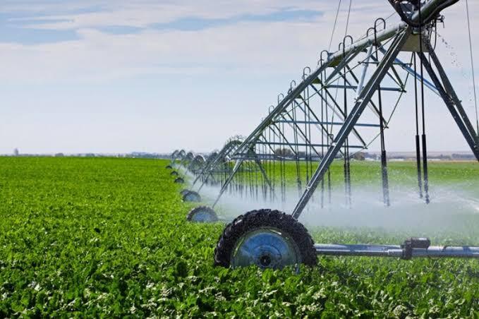 ضرورت جایگزینی مشوقهای اقتصادی بهجای دستور در اجرای «الگوی کشت ضرورت جایگزینی مشوقهای اقتصادی بهجای دستور در اجرای «الگوی کشت